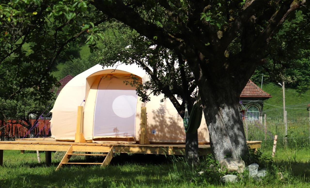 Flore's Garden Glamping Luxury tent Bran (Brasov)
