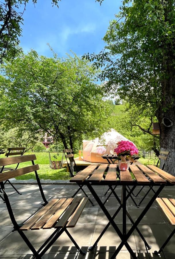Flore's Garden Glamping * Bran (Brasov)