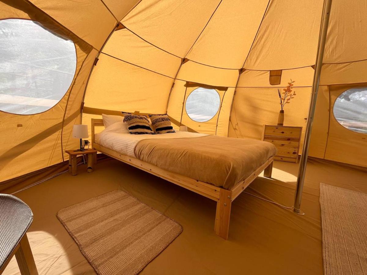 Flore's Garden Glamping Bran (Brasov)