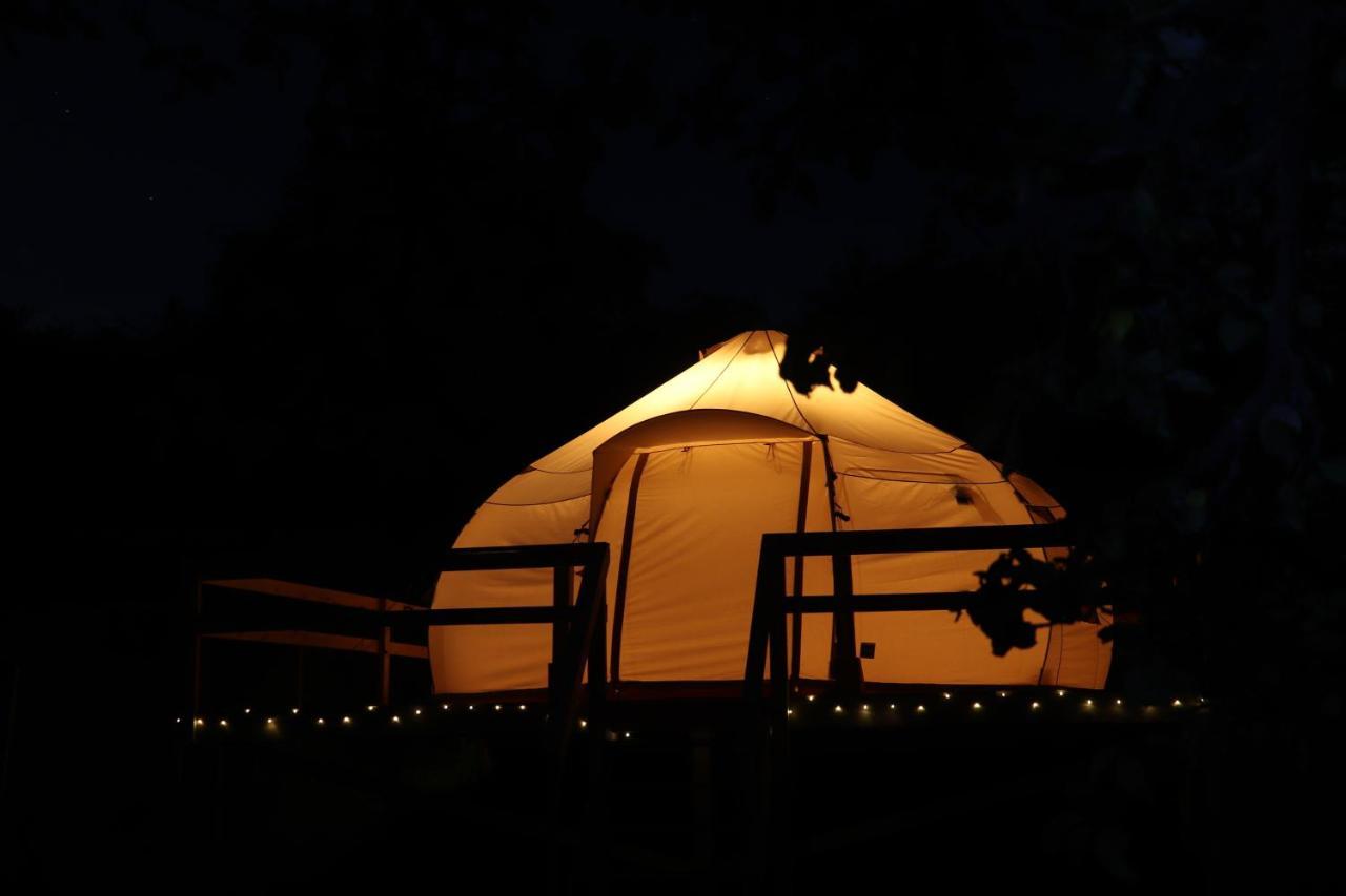 Flore's Garden Glamping Bran (Brasov)