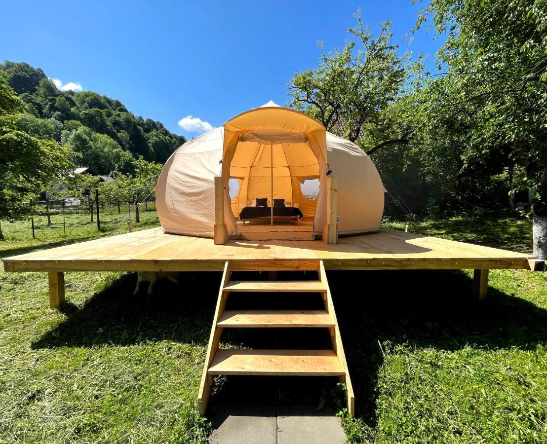 Flore's Garden Glamping * Bran (Brasov)
