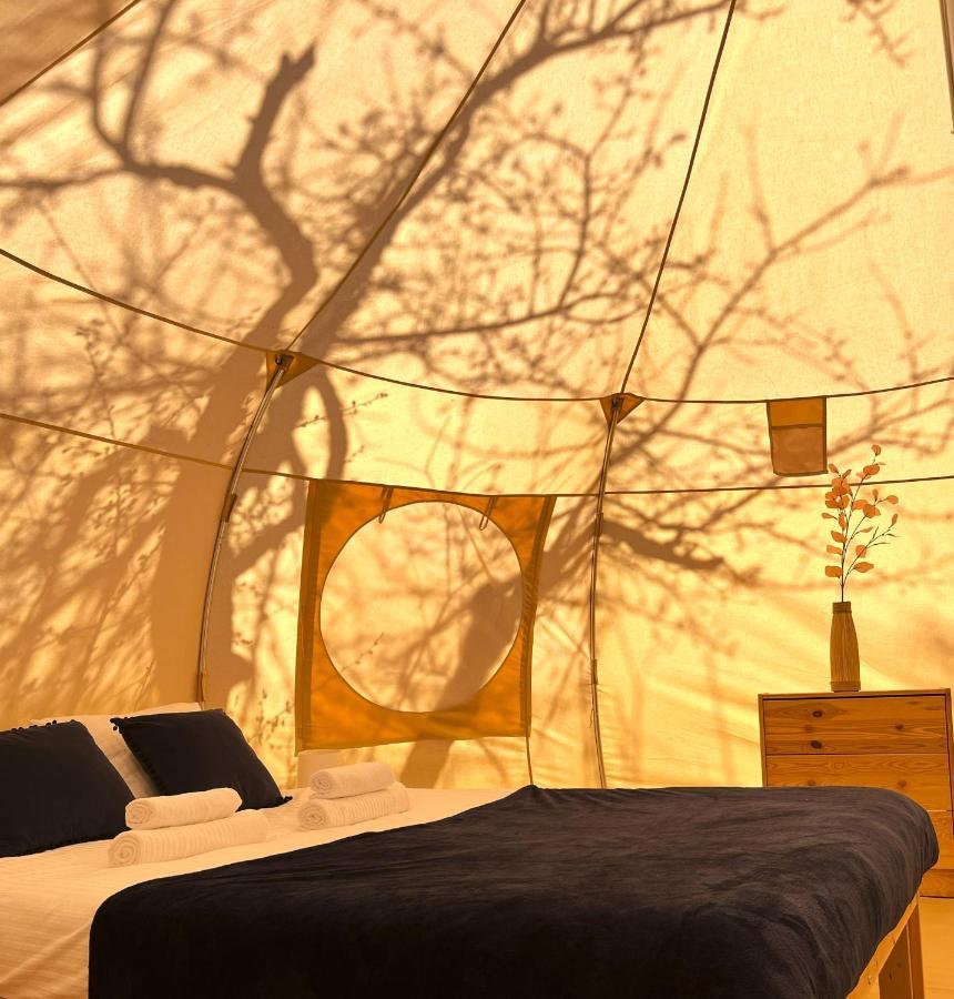 Flore's Garden Glamping * Bran (Brasov)