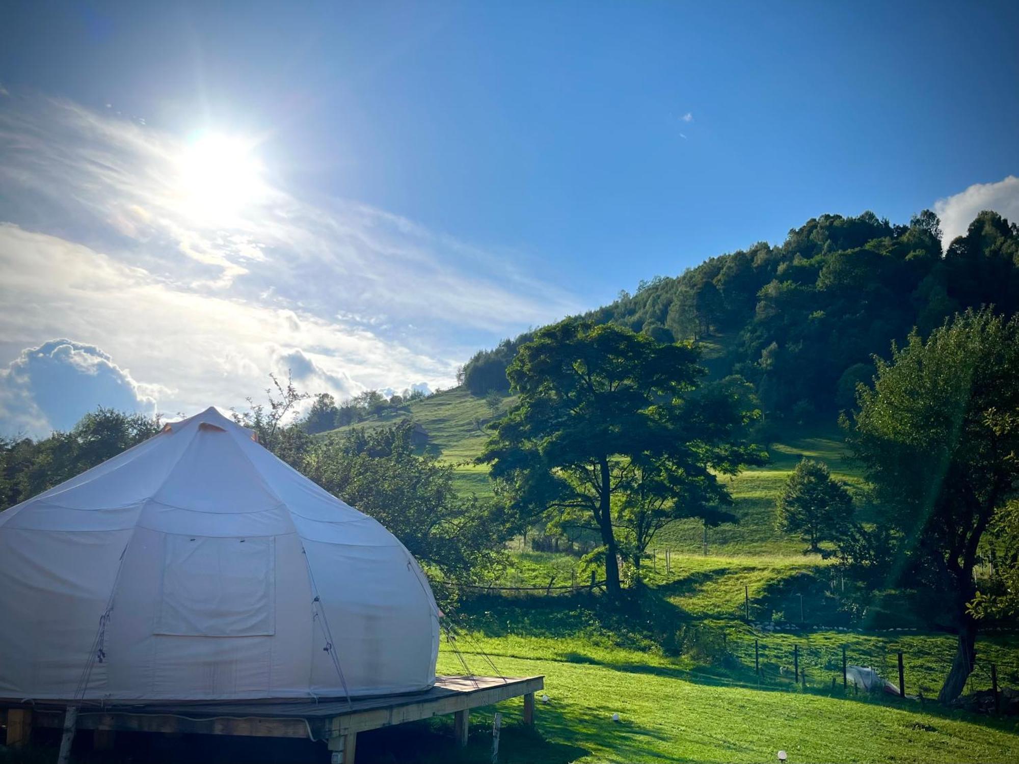 Flore's Garden Glamping Luxuszelt Bran (Brasov)